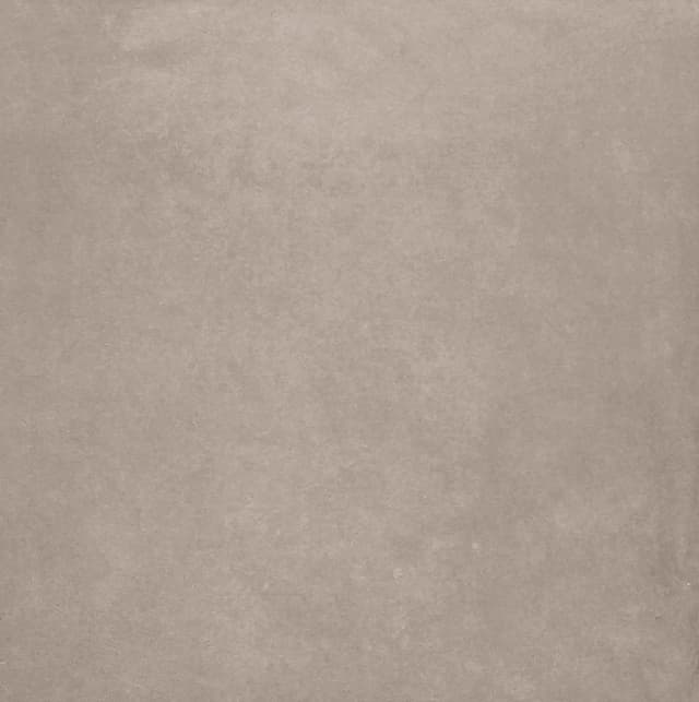 domus taupe